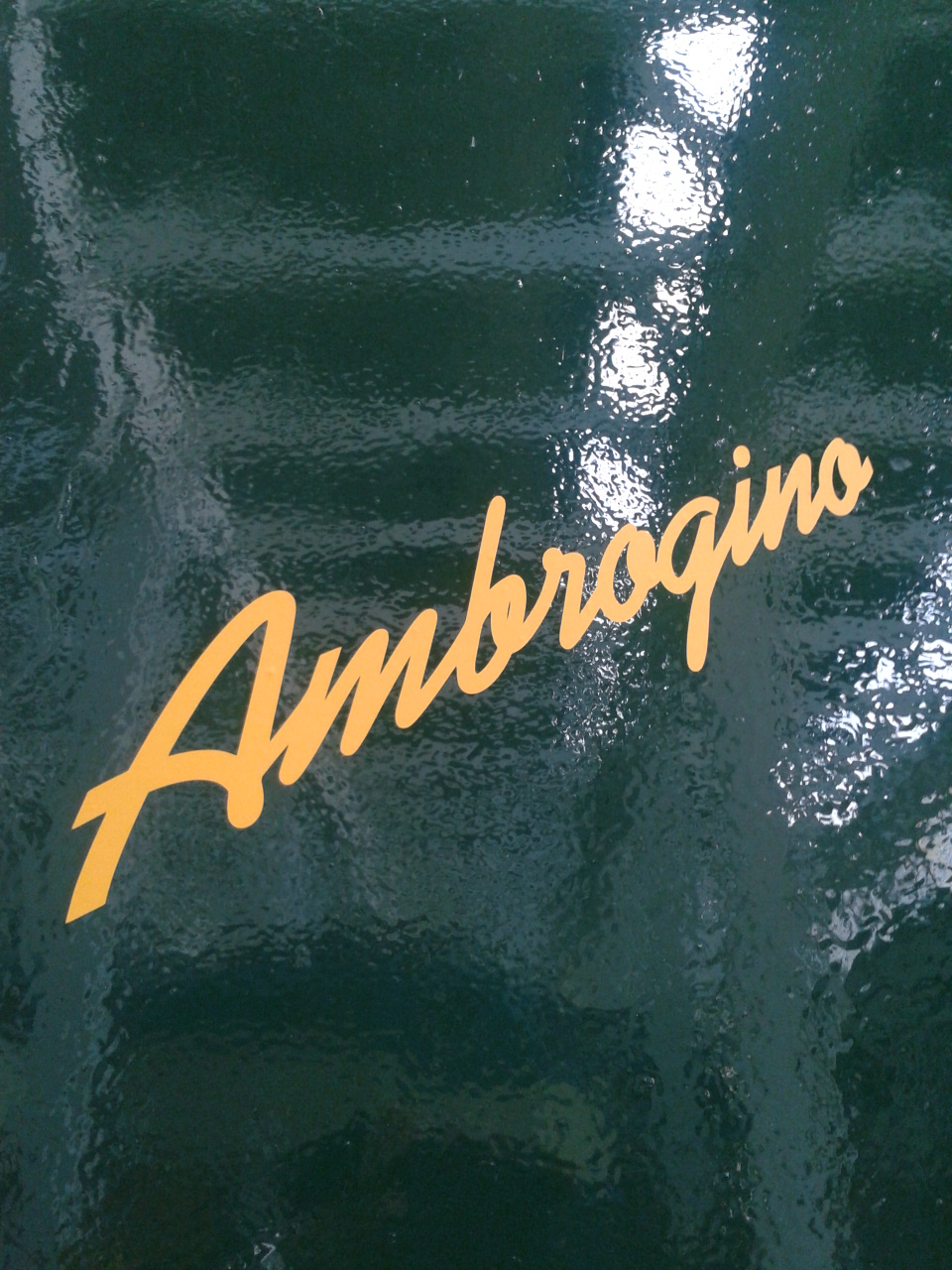 Ambrogino 209.005